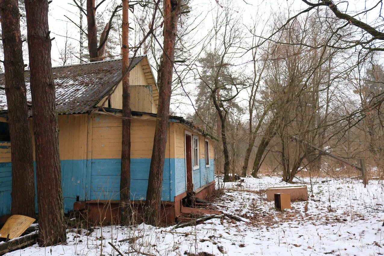 Дол ласточка. Лагерь Ласточка Нижегородская область. Лагерь Ласточка Октябрьское трамвайное депо. Добо Ласточка Нижегородская область. Лагерь Ласточка Иркутск.