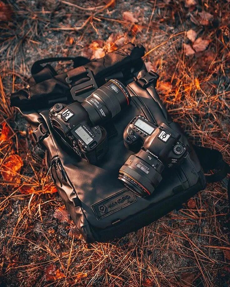 Фотографы кэнон