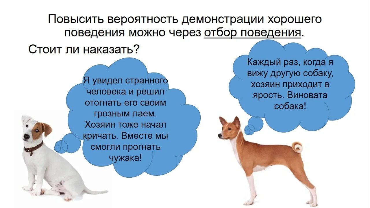 Лающая почему ю