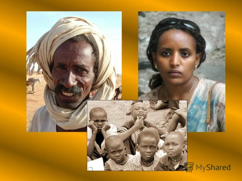 Хамитов история. Сыновья ноя сим хам иафет. Хамиты. Хамиты. Рустэм хамитов выборы.