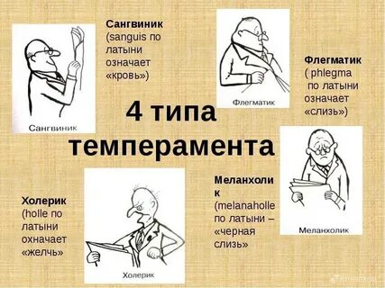 Виды темперамента холерик