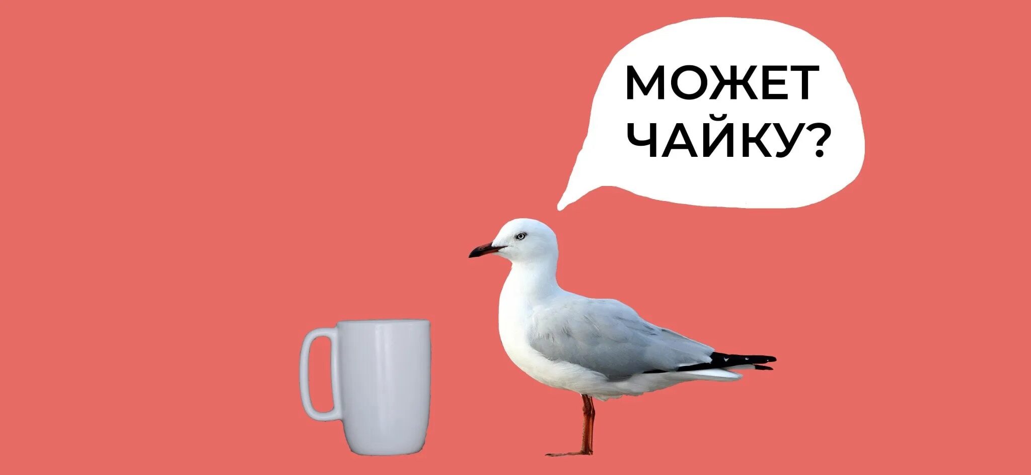 Чайка ты следующий. Чайку заварить прикол. Приколы про чаек. Может чайку. Чайку мем.