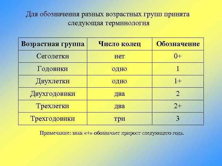 Для данной возрастной группы. Возрастная категория рыб. Обозначения возраста рыб. Возрастные группы рыб. Обозначение возраста.