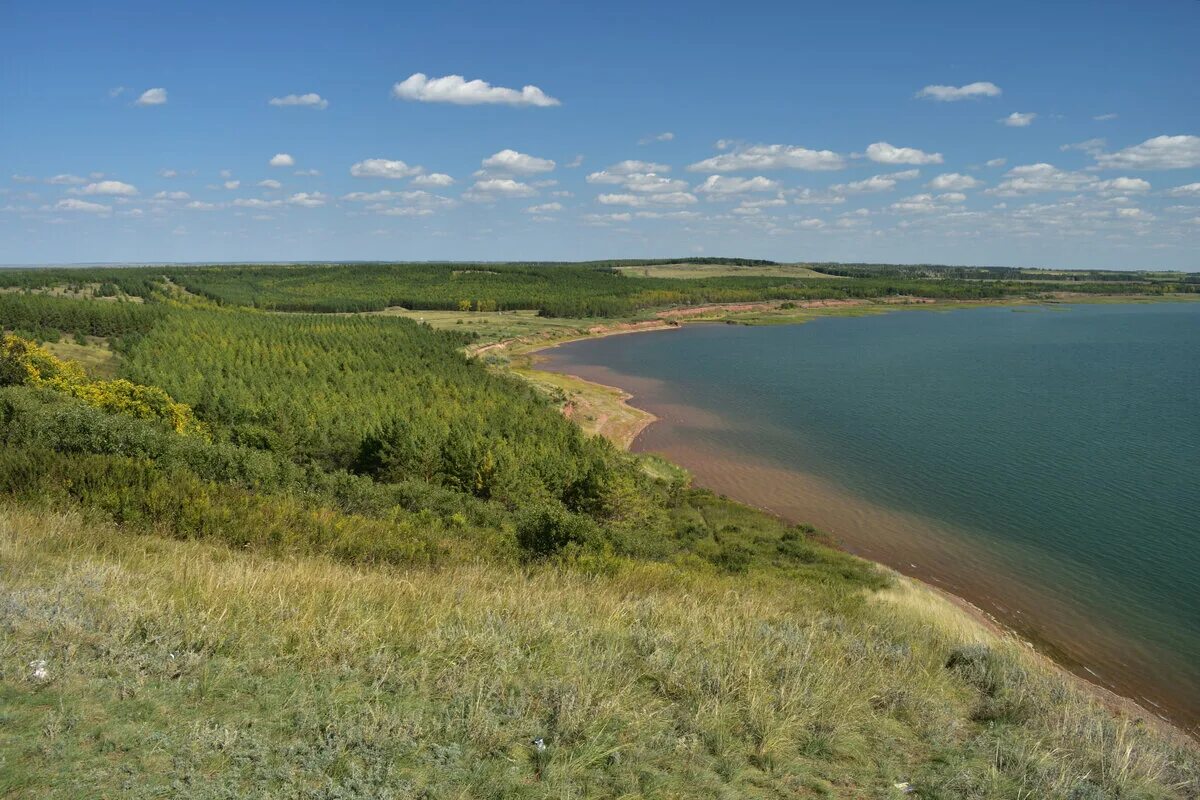 Аслыкуль озеро. Природный парк Аслыкуль. Купоярово Аслыкуль. Озеро Аслыкуль Башкирия. В каком районе расположена озеро