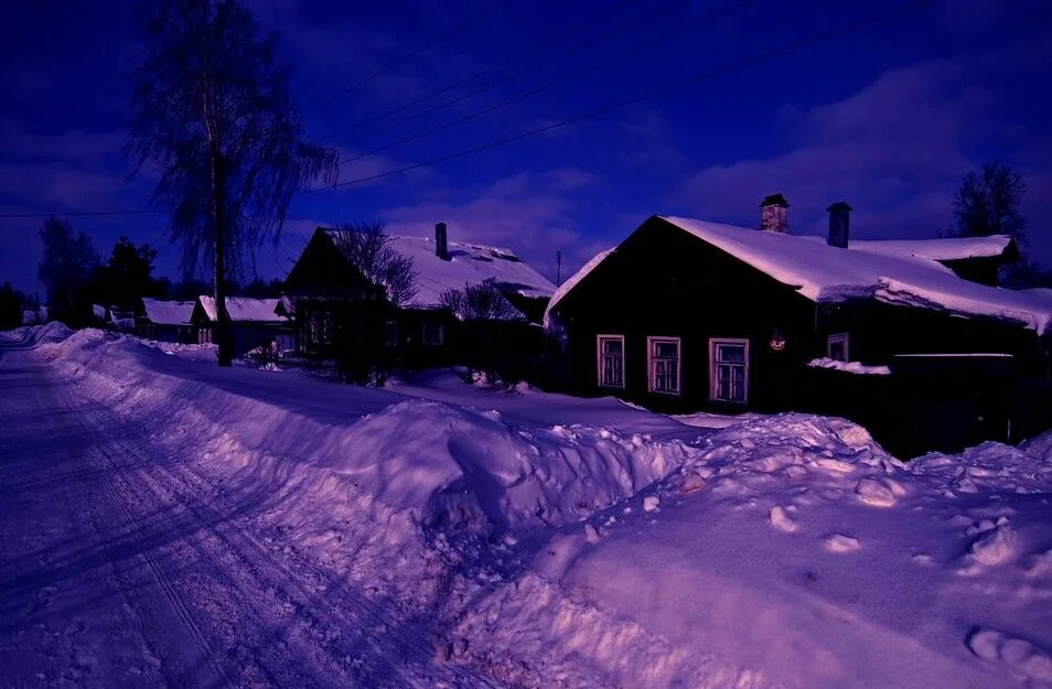 Зимний вечер. Арктический хвойный лес закат. Зима. Поздний вечер в лесу зима фото. Мрачный зимний пейзаж.