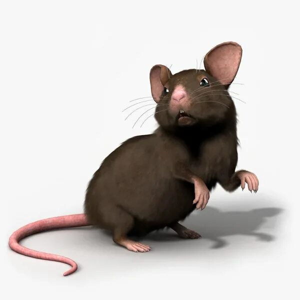 3 часть 3 мышей. Мышка 3ds Max. Мышь 3д модель. Мышь 3d модель. Мышь для 3д моделирования.