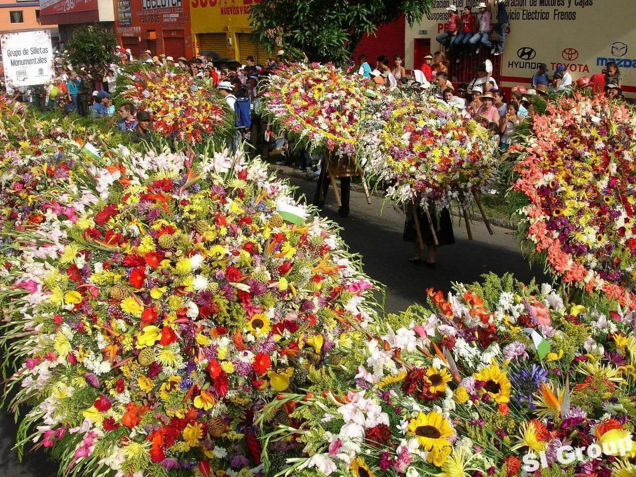 День фестиваля цветов. Ферия де Флорес. Ярмарка цветов в Медельине. Фестиваль цветов в Таиланде 2022. Медельин Колумбия цветы.