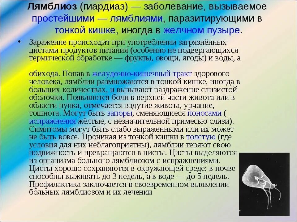 Выберите заболевания вызываемые простейшими. Болезни вызываемые простейшими. лямблии (заболевание лямблиоз). болезни вызванные простейшими лямблиоз. лямблия заболевание профилактика.