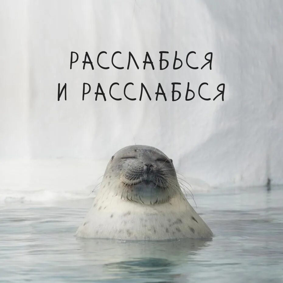 Не позволяю себе расслабиться