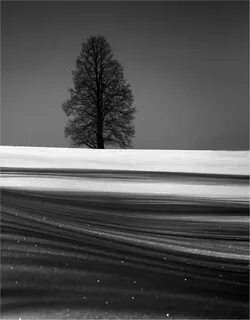 Black n white