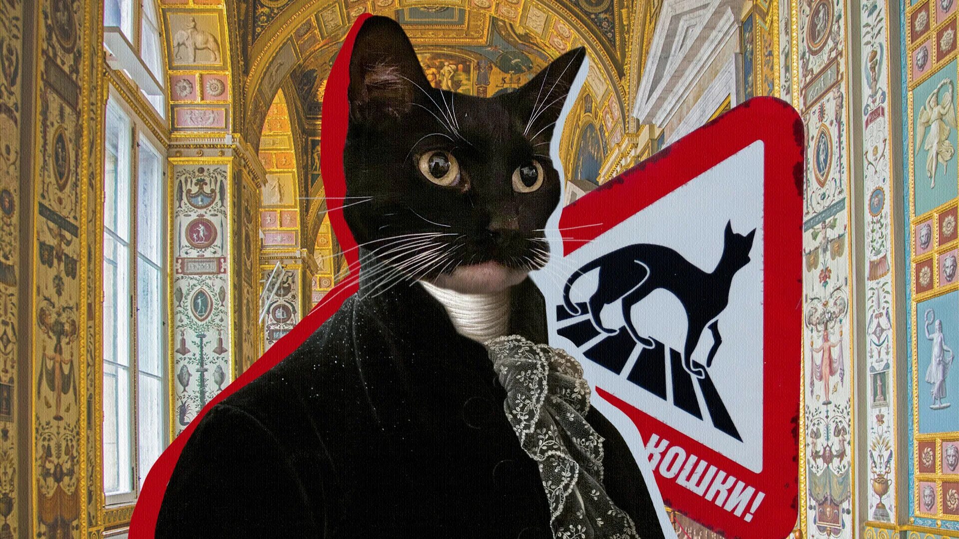 Как кот может стать эрмитажным. Коты эрмитажа (2025). эрмитажные коты в санкт-петербурге. эрмитажные коты. коты эрмитажа 2025.