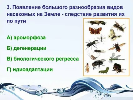 Идиоадаптации червей