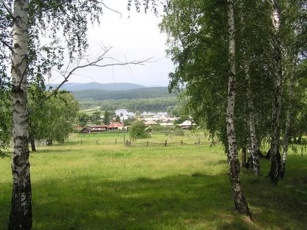 Деревня Новоандреевка Уральское Синегорье. Березовый лес в Новоандреевке Челябинской области. Деревня Новоандреевка Челябинская область. Новоандреевка Миасс.