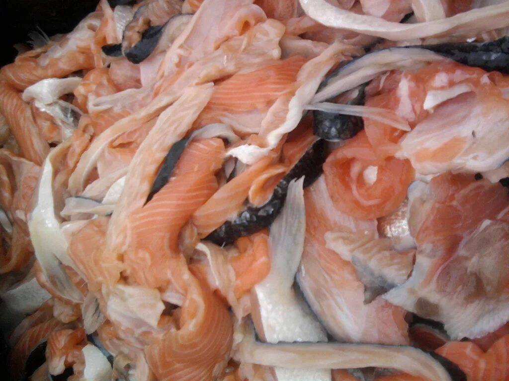 брюшки лосося. обрезки лосося. обрезь лосося. обрезь лосося. хребты лосося замороженные 1 кг.