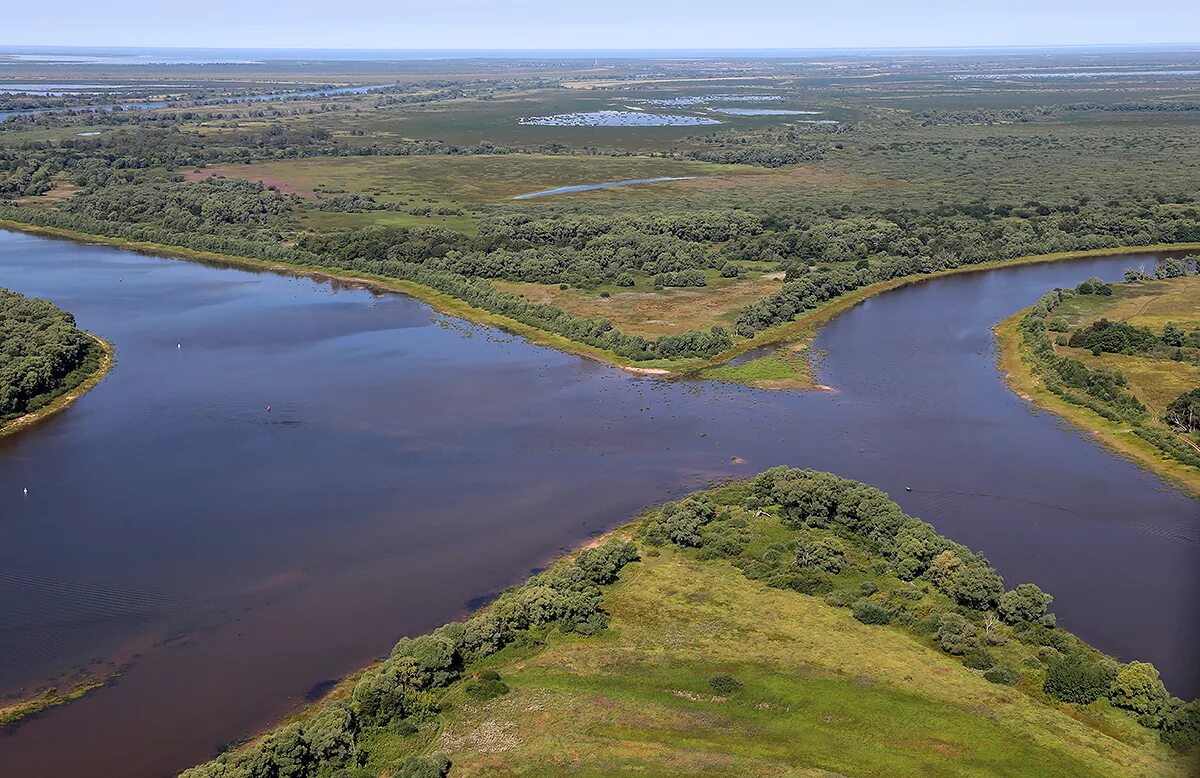 Каналы реки ея. Река Ловать Новгородская. Вева Ловать озеро Ильмень. Река Ловать Парфино. Ловать Устье Ильмень.