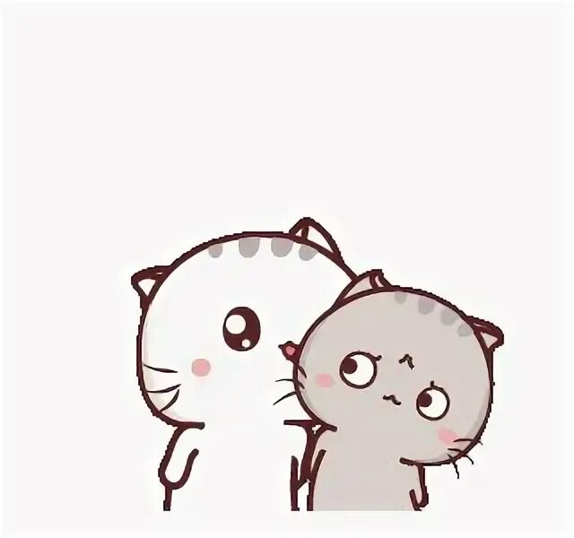 Nn line pm. Nn line pm