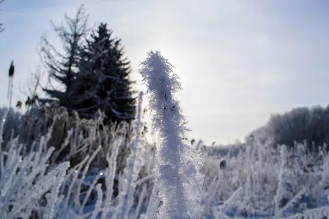 Холодно морозно синоним