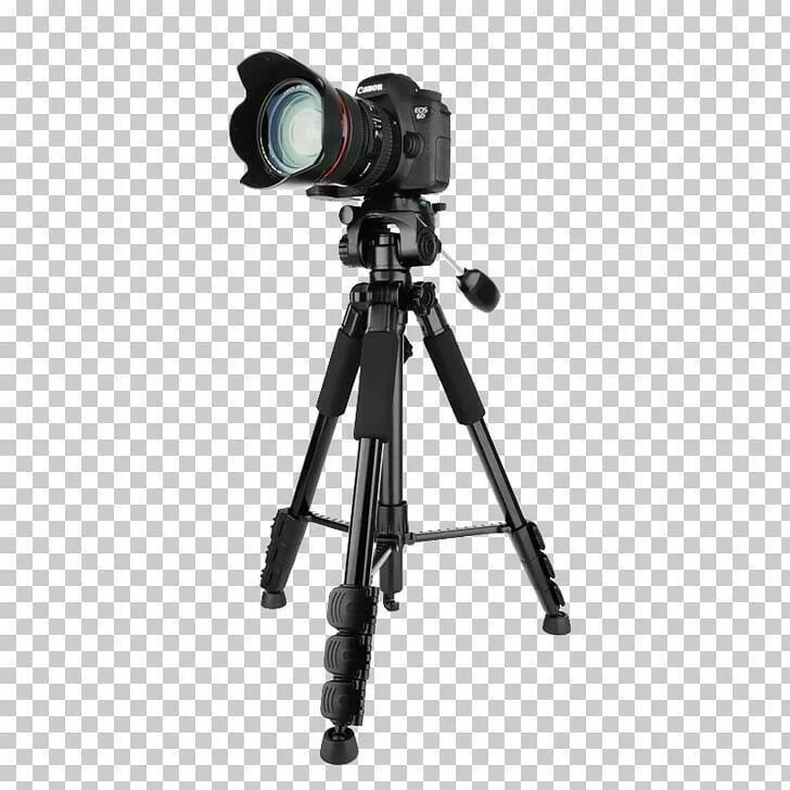 Ox zung camera footage. Штатив-тренога ARX T-1. Штатив для видеокамеры libeclx10. Штатив для видеокамеры Tripod 330a. Фотоштатив Fox Tripod dt130.