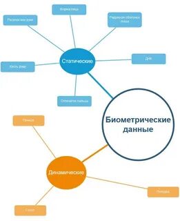 Какие данные являются биометрическими