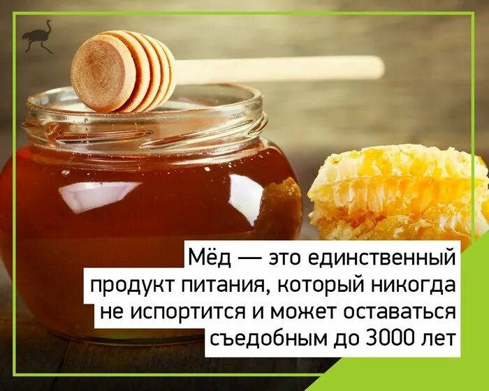 Мед порченный. Мед не портится. Мёд — единственный пищевой продукт, который никогда не портится. Почему мед не портится никогда. Мёд не мёд.