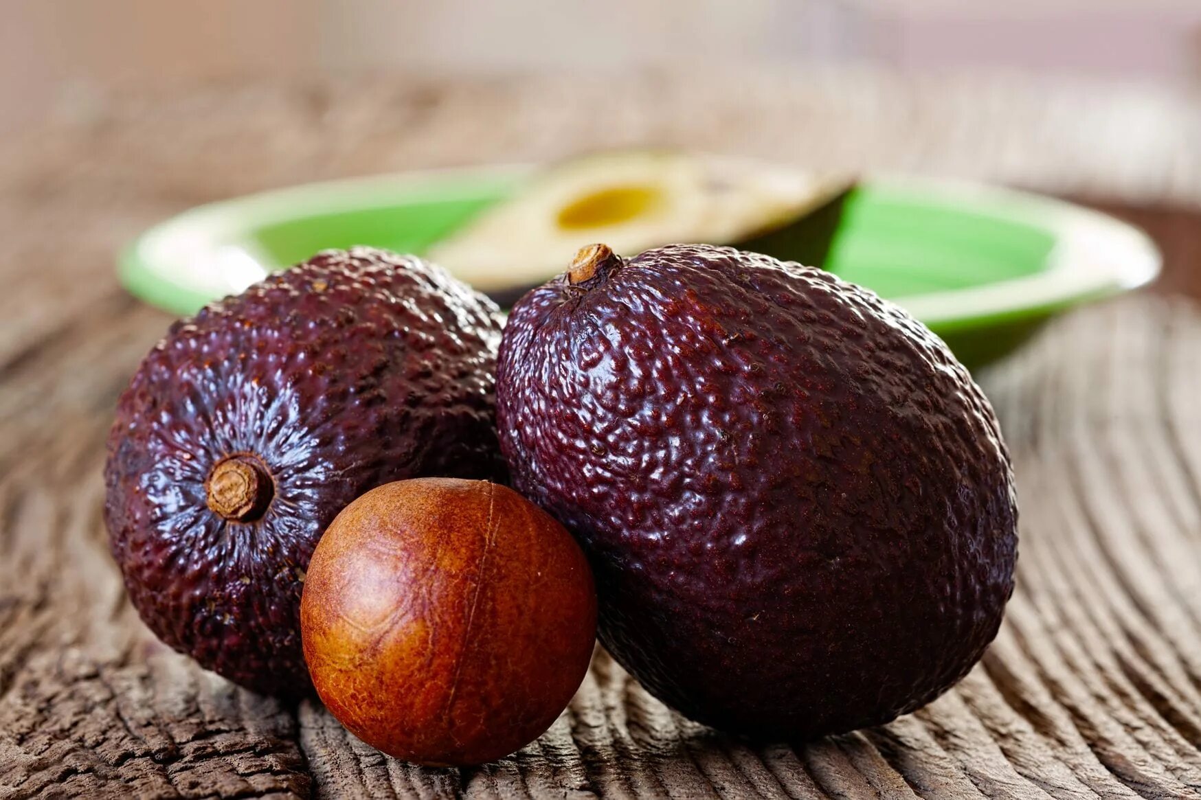 косточка от авокадо прорастить. семечко авокадо. есть орех авокадо. ореховый авокадо. семена авокадо.