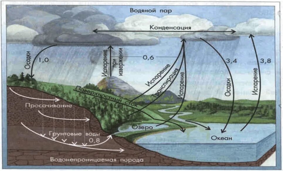 Полный цикл круговорота воды в биосфере. Круговорот воды в биосфере. Круговорот воды в биосфере схема. Круговорот воды в атмосфере. К воде в атмосфере относятся
