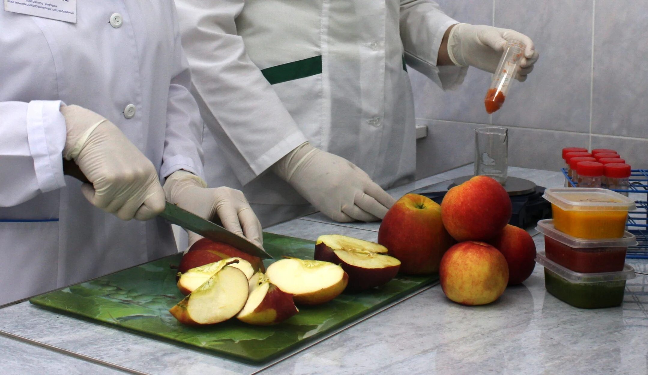 Экспертиза фруктов и овощей. Исследование пищевых продуктов. Экспертиза пищевых продуктов. Ветеринарно санитарная экспертиза овощей и фруктов.