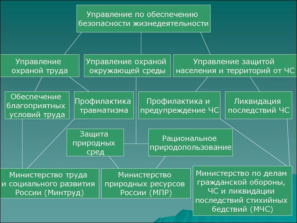 Деятельности по обеспечению безопасности государства. Организационные основы безопасности жизнедеятельности. Основы правового регулирования БЖД. Нормативно-правовое регулирование БЖ. Основы управления безопасностью жизнедеятельности.