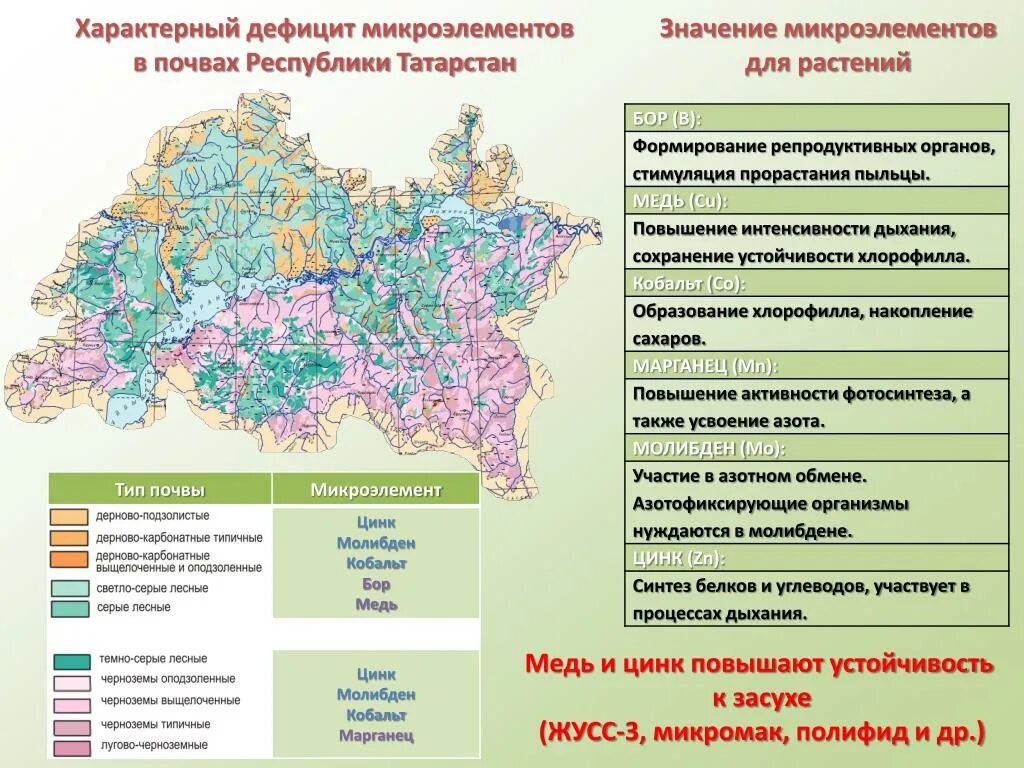 Богатство республики татарстан. Карта почв Татарстана. Почвы Республики Татарстан. Основные сведения о почвах Татарстана. Почвенная карта Татарстана.