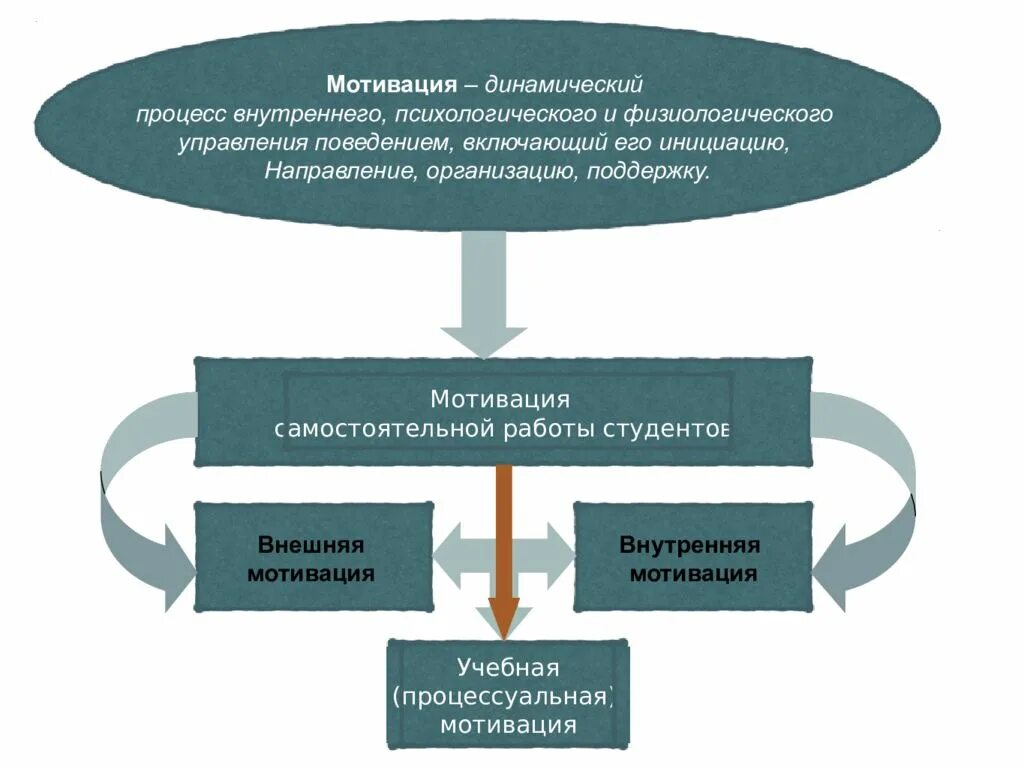 Самостоятельная работа студентов. Мотивация на самостоятельную деятельность. Процесс внутреннего управления поведением человека;. Требования к организации самостоятельной работы студентов. Мотивация самостоятельной работы