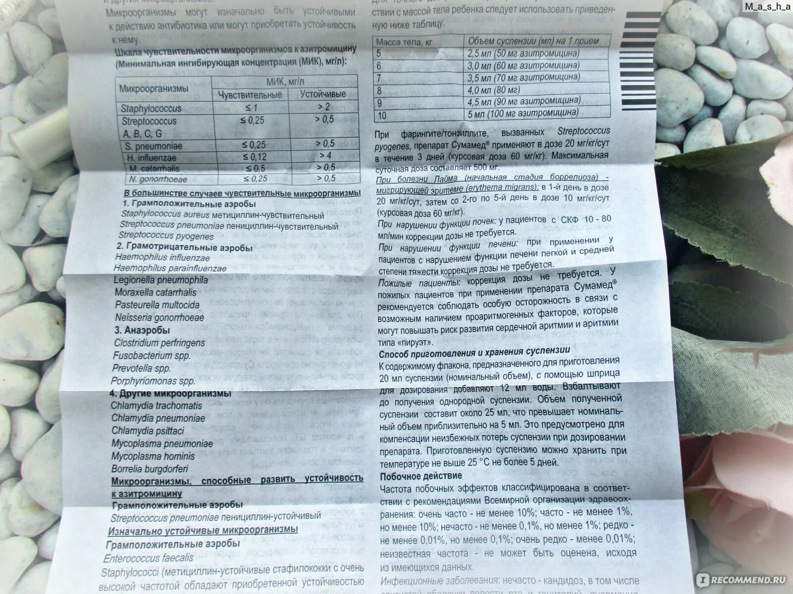 Азитромицин при фарингите. Азитромицин таблетки дозы. азитромицин дозировка. препараты для крыс дозировки. азитромицин дозировка для детей.
