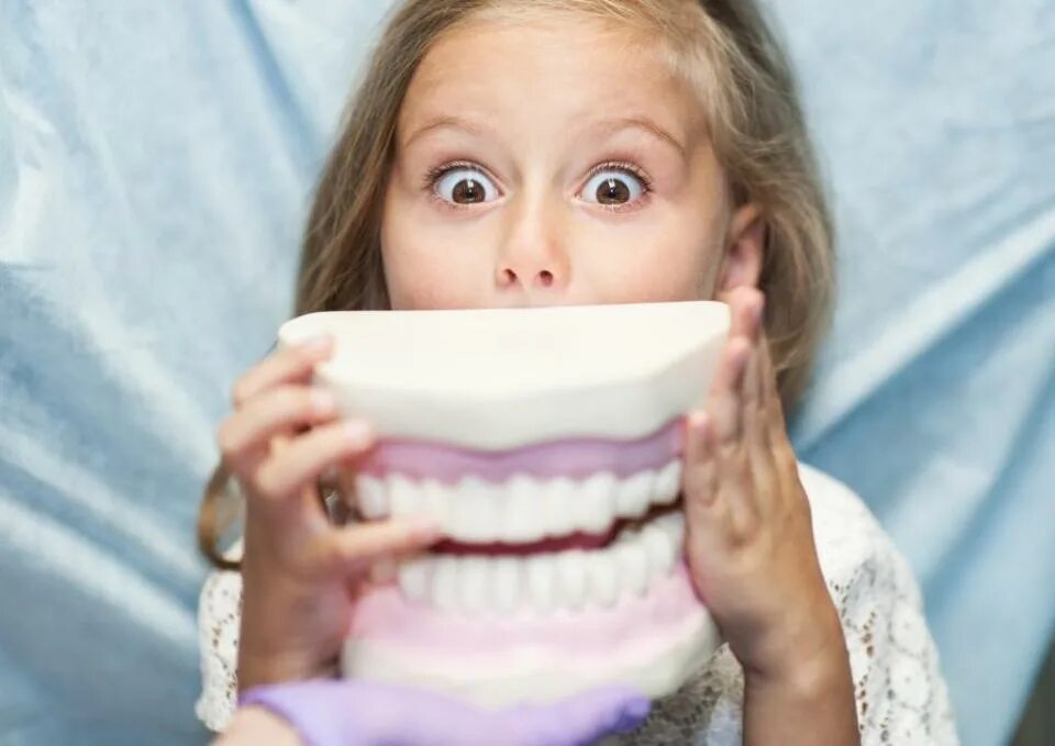 Ребенок год скрежет зубами. Зубы человека.