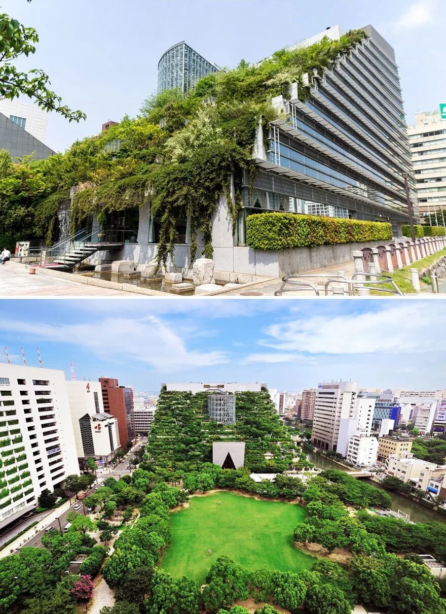 Современности японии. Культурный центр Acros (Эмилио Амбаш, Япония). Fukuoka Prefectural International Hall, Япония. Архитектор - Emilio Ambasz. Культурный центр Acros (Фукуока, Япония) архитектура. Акрос Фукуока.