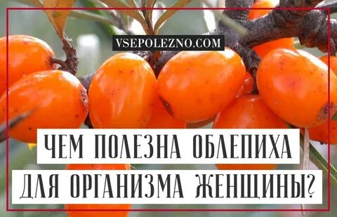 Облепиха вред