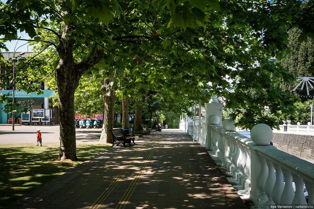 Зеленые районы москвы. Чистая природа экология. Чистый город. Виды чикаго. Мельбурн город в австралии.