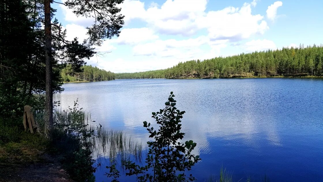 White lake. Белое озеро Архангельская область Северодвинск. Озеро Ковязское Пушкинский район. Архангельск белое озеро. Белое озеро Вологодская область.