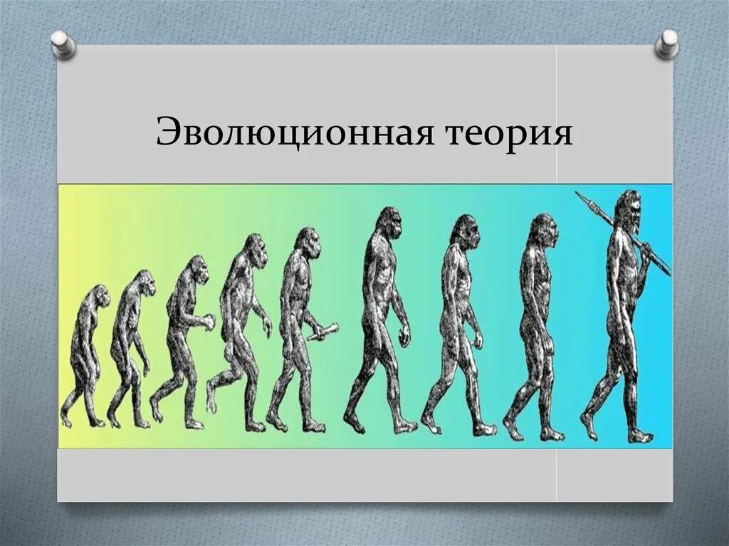 Жизни путем эволюции. Эволюционная теория. Теория эволюционизма. Эволюционная гипотеза. Современная теория эволюции человека.