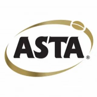 Аста интернет