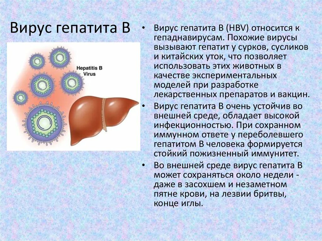 Переболевшие гепатитом б. Вирусный гепатит б. Вирус гепатита в.