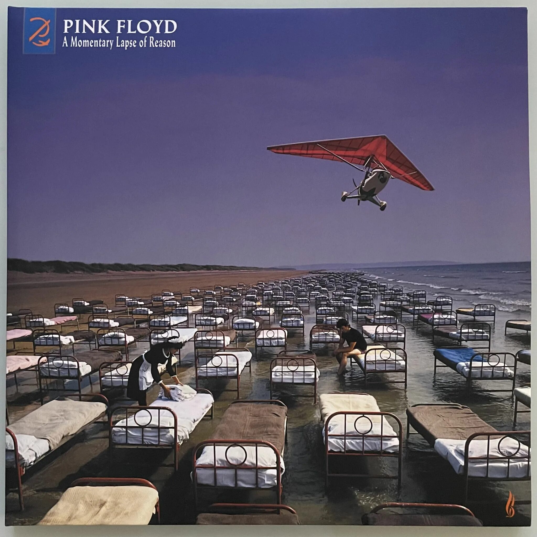 Momentary lapse of reasoning. Pink Floyd a Momentary lapse of reason 1987. Pink Floyd a Momentary lapse of reason 2021 LP. Pink Floyd - a Momentary lapse of reason (Remixed and updated). Pink Floyd a Momentary lapse of reason обложка.