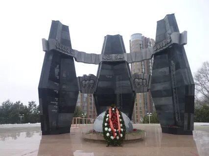Черный тюльпан хабаровск