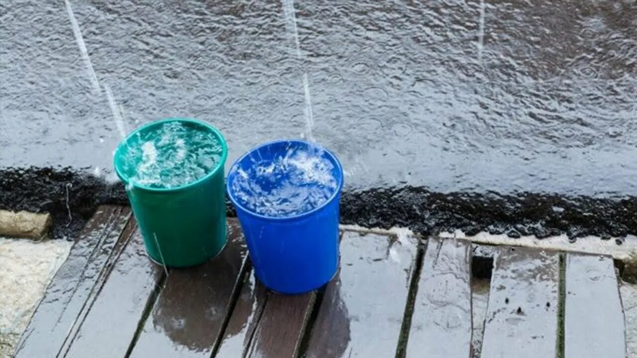 Что есть в дождевой воде
