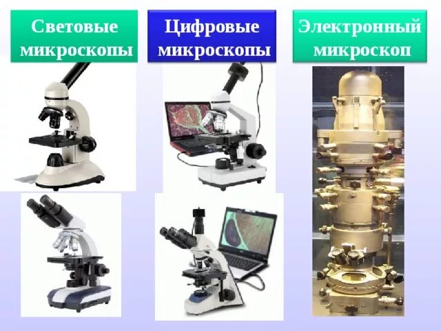 Увеличение изображения световым микроскопом соответствует