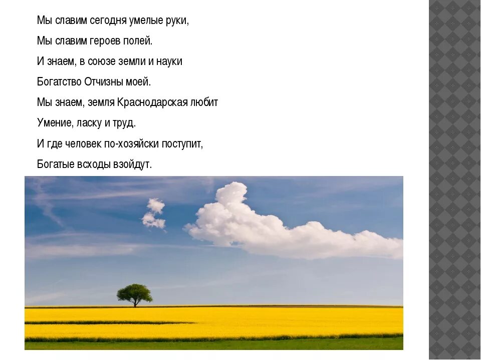 Труженики родной земли 2 класс. Презентация на тему твои земляки труженики. Герои кубанских полей доклад. Труженики кубанских полей. Проект на тему герои кубанских полей.