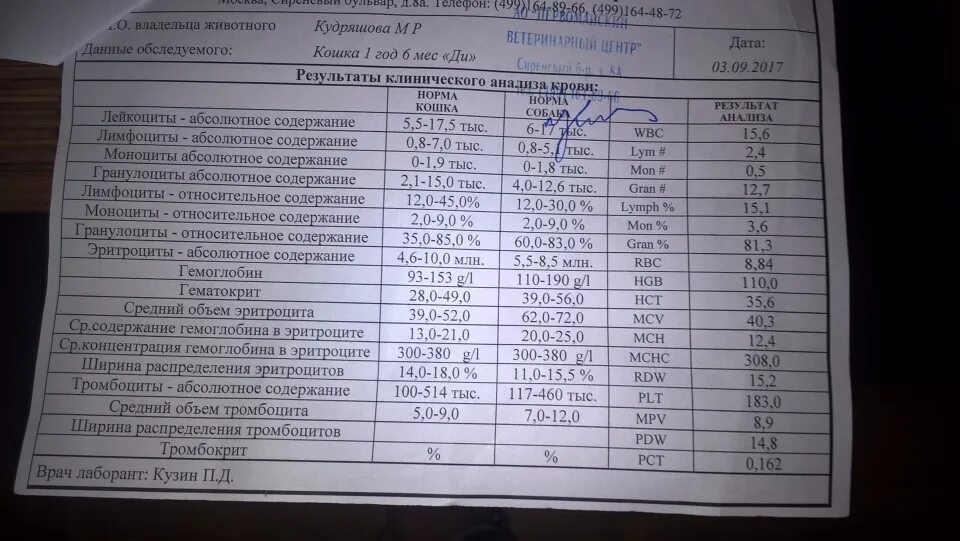 Анализ mpv норма у женщин