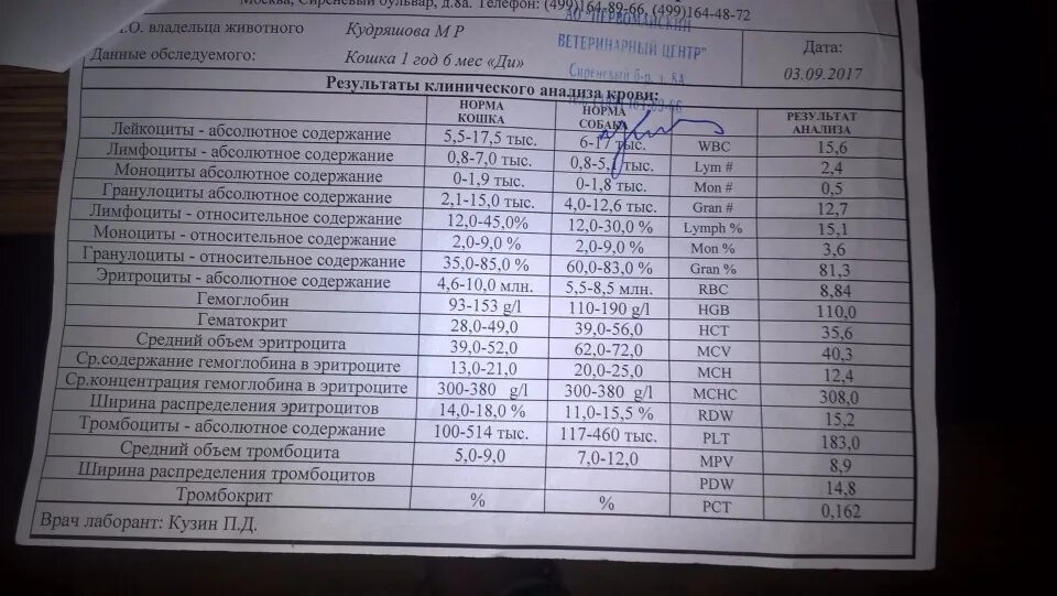 Повышены тромбоциты в крови при беременности. MPV В анализе крови у ребенка норма. Общий анализ крови норма MPV. MPV норма у детей. MPV В анализе крови норма для женщин.