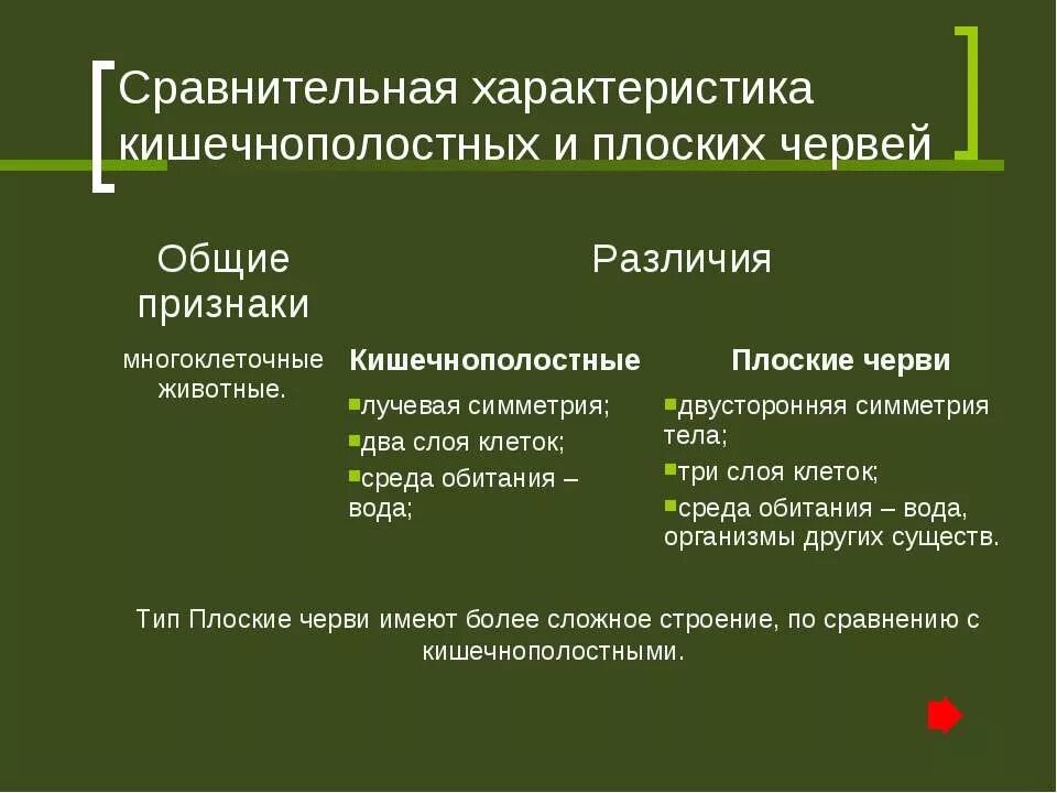 Плоские черви сравнение. Сравнительная характеристика кишечнополостных и плоских червей. Сравнение кишечнополостных и плоских червей. Сравнительная характеристика кишечнополостных и червей. Сравнение кишкчнополострыэ и червей.