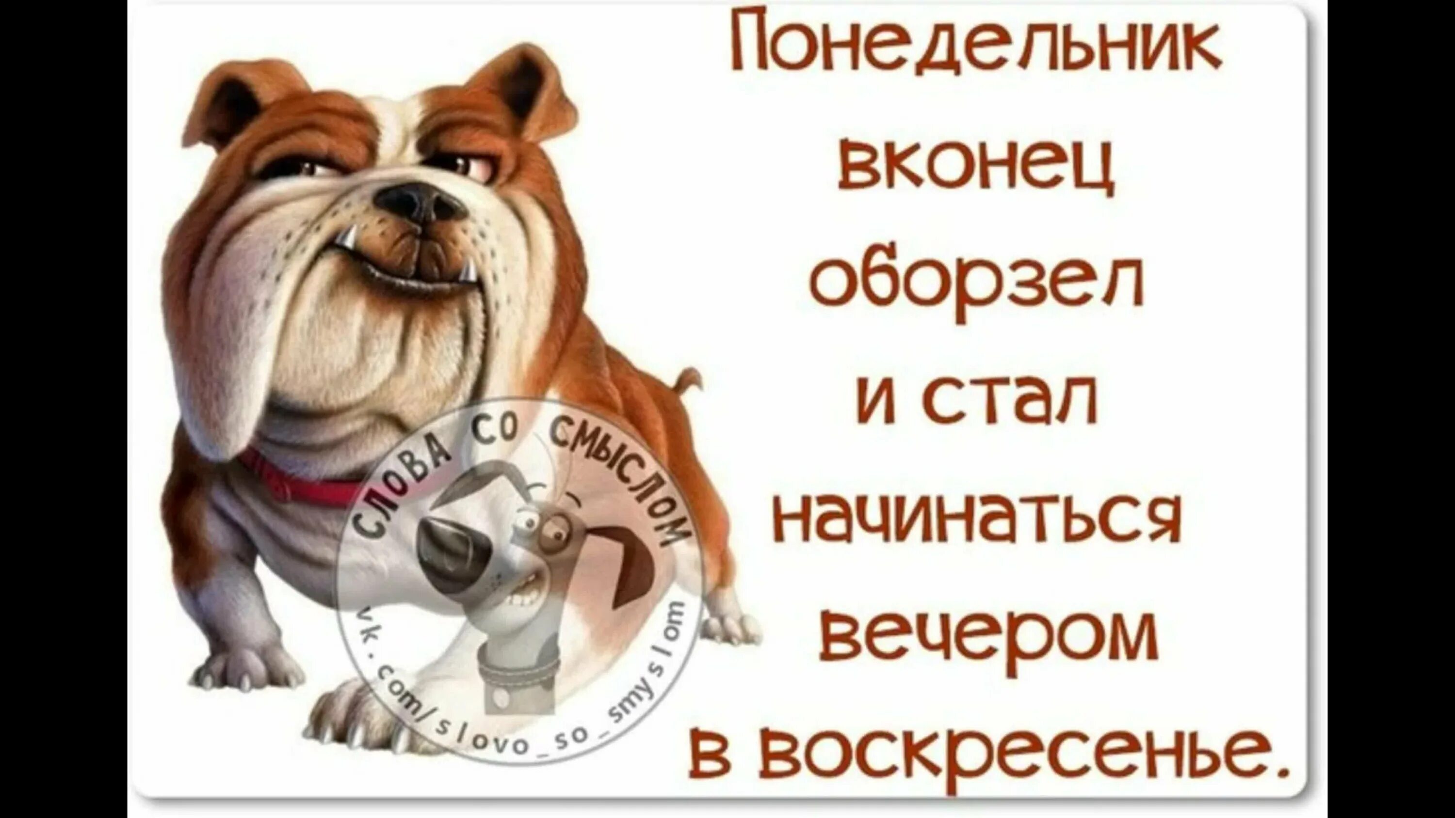 Недели рабочий день начинается в