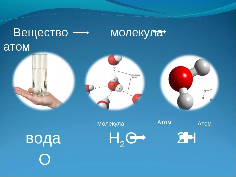 Как расположены атомы в химических соединениях. Атом молекула строение химия. Строение вещества молекулы и атомы. Строение атомов и молекул. Строение молекулы и атом воды.