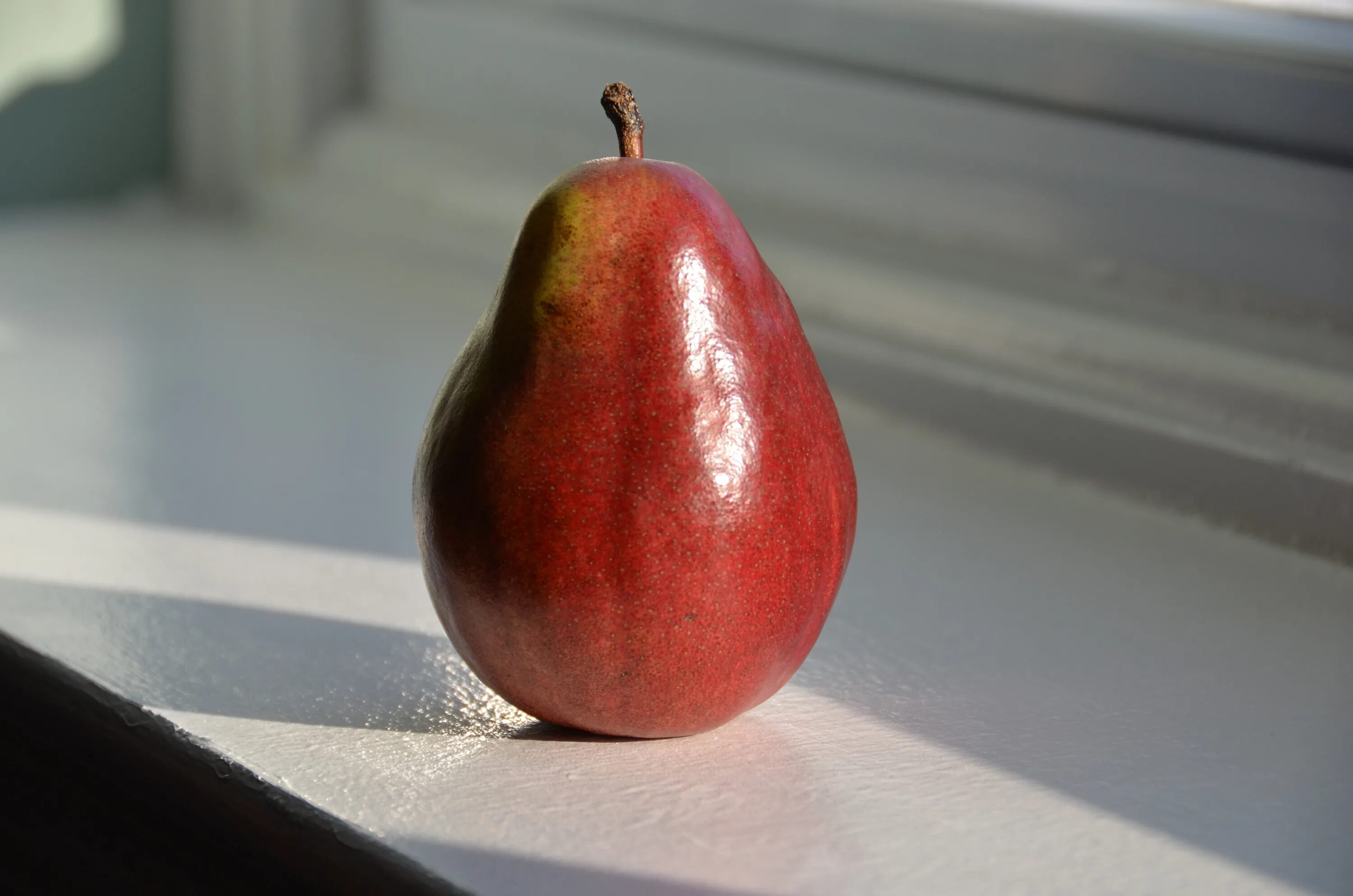 Fresh pear. Груша. Груша на столе. Груша (плод). Груша фото.